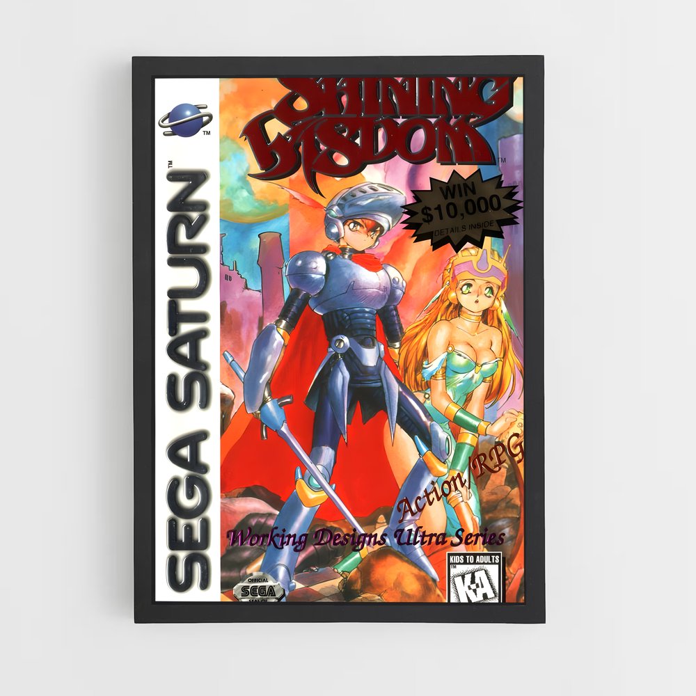 Poster Roi des Épées – affiche Consoles (vue 2)
